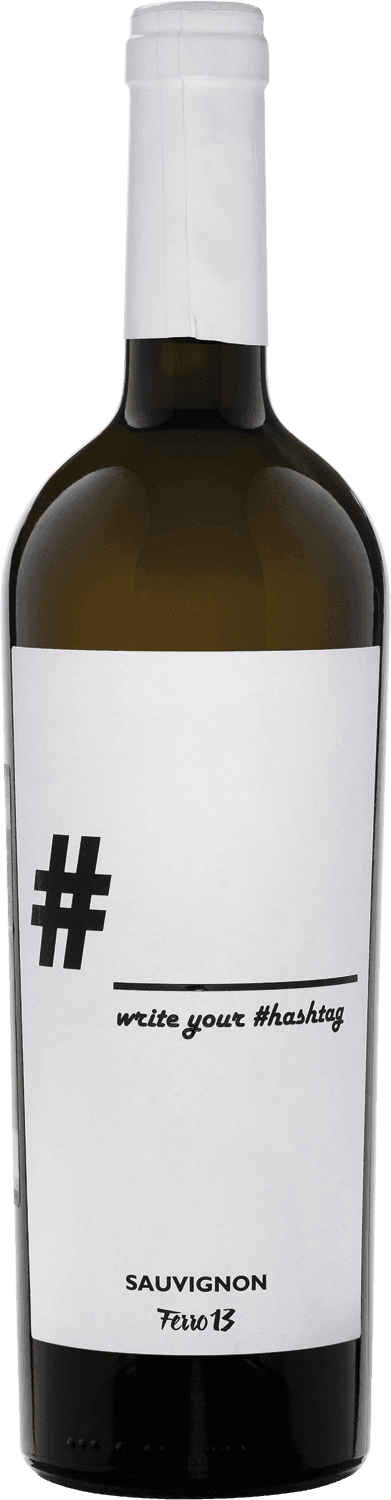 Вино Ferro 13, "Hashtag" Sauvignon, Veneto IGT, 2019