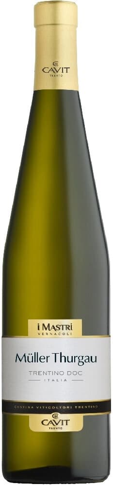 Вино "Mastri Vernacoli" Muller Thurgau, Trentino DOC, 2023